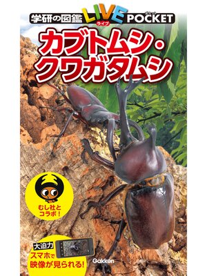 cover image of カブトムシ・クワガタムシ